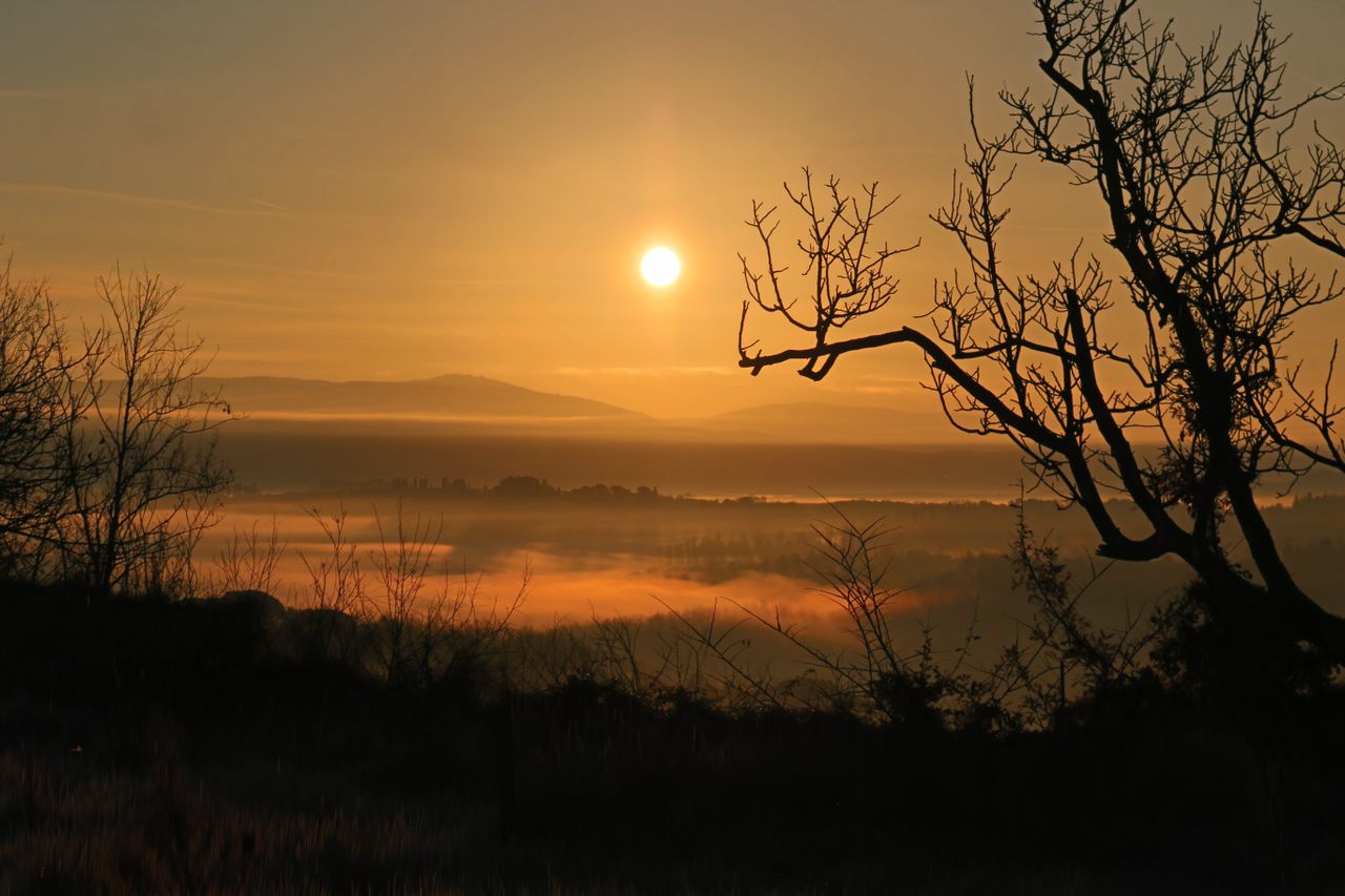 Misty sunrise over rolling hills — the perfect setting for a slow morning